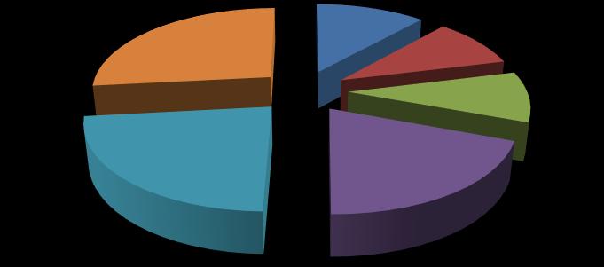 PORTFEL UMIARKOWANIE AGRESYWNY Styczeń br. przyniósł +4,93% m/m i dwie wymiany wśród funduszy. Niniejszy portfel zyskuje w układzie trzyletnim 19,73%.