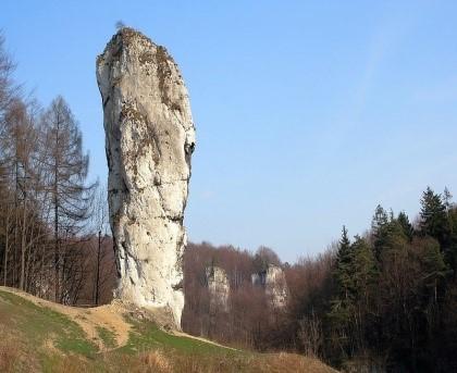 Zadanie 38. Forma przedstawiona na rysunku potocznie nazywana Maczugą Herkulesa występuje na terenie A. Magurskiego Parku Narodowego. B. Ojcowskiego Parku Narodowego. C.