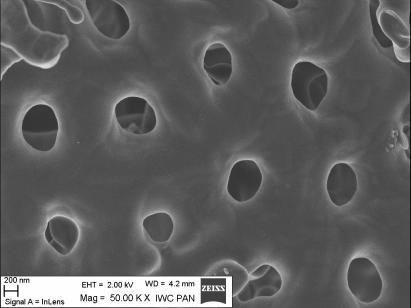 Następnie spiekano je w temperaturze 900 C przez jedną godzinę w piecu Carbolite CWF1300.