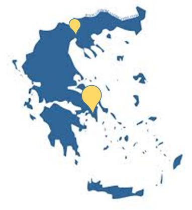 III. Report on the statistics about Medical Dentists and educational system framework in dentistry in Greece developed by SYNOLIC ltd 1.