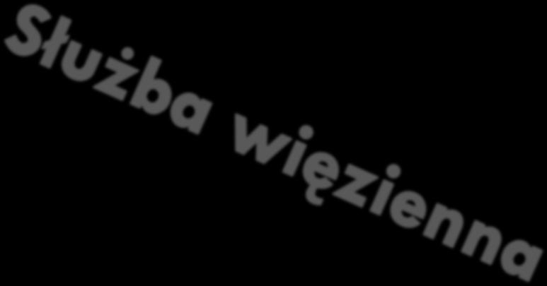 Wybierając kierunek Służba Więzienna: realizujesz dodatkowe zajęcia kierunkowe: wiedza o Służbie Więziennej, podstawy prawa z elementami prawa karnego wykonawczego, samoobrona (zajęcia z wicemistrzem