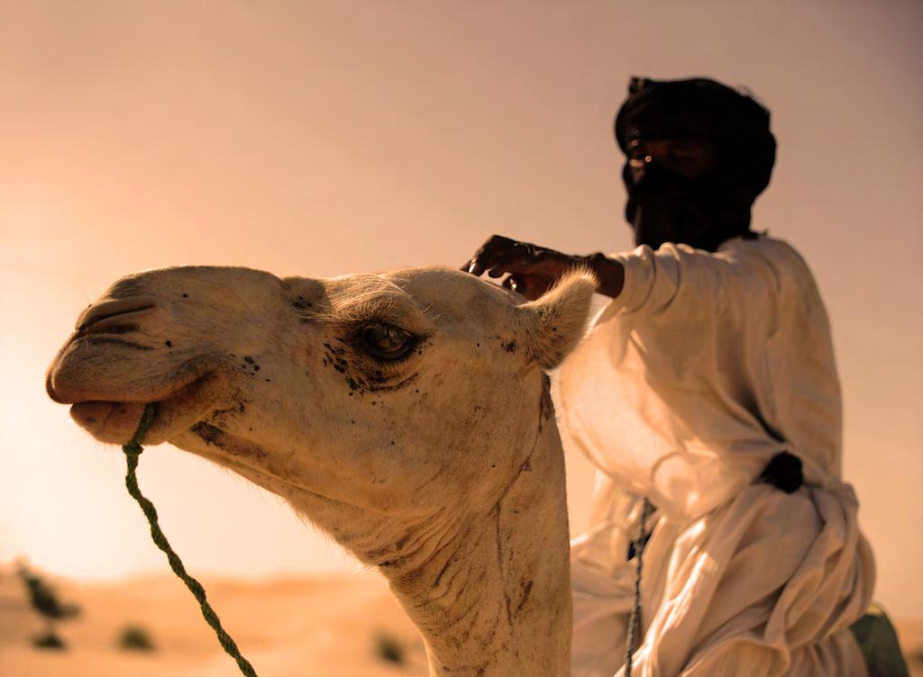 IV - Tuaregowie V - Festiwal Sebiba Mówią o sobie Kel Tamasheq - ci co mówią w Tamasheq lub Kel Tagoulmoust czyli ci co noszą zasłonę.
