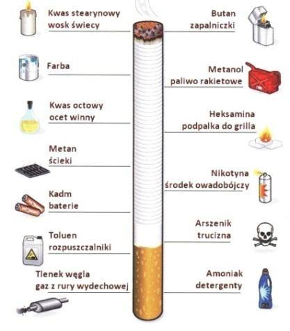 Z czego są zrobione papierosy?