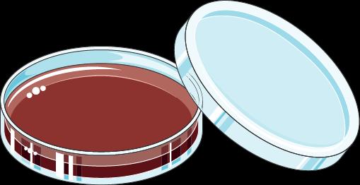 18 Badania do celów sanitarno- epidemiologicznych INSTRUKCJA POBRANIA PRÓBEK KAŁU W KIERUNKU NOSICIELSTWA PAŁECZEK Z RODZAJU SALMONELLA/SHIGELLA Badanie do celów sanitarno-epidemiologicznych obejmuje