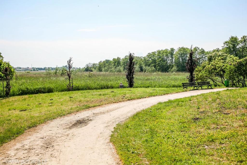 Rysunek 3. Proponowane miejsce na wspólne pikniki i grille mieszkańców osiedla Lęborskie. Osiedle mieszkaniowe Lęborskie L.p. Lokalizacja Sposób użytkowania/problem 1.