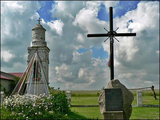Bujny
