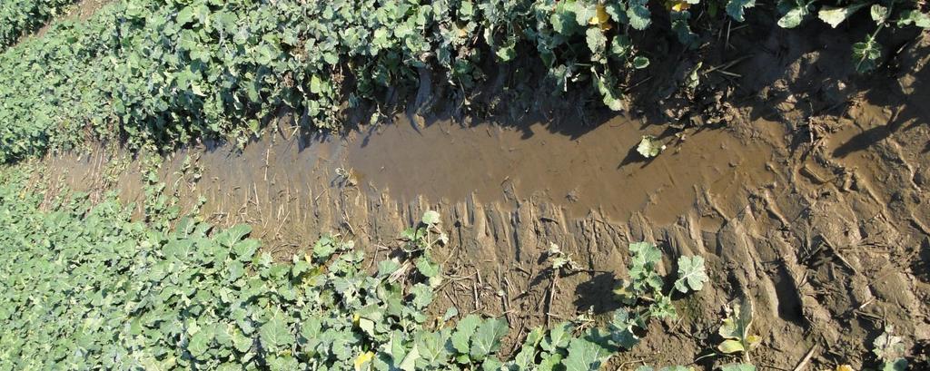 Należy także pamiętad, że erozja wodna gleb to nie tylko wymywanie gleby, ale także wynoszenie składników chemicznych, co stanowi źródło zanieczyszczania wód.