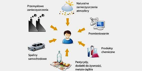 stosowanie różnego rodzaju używek, większa podatnośd na stres związana z przyspieszonym tempem życia, a także brak dostatecznej ilości odpoczynku.