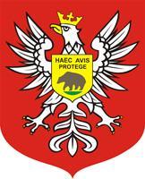 Załącznik do uchwały nr Rady Miasta Ostrołęki z dnia POWIATOWY PROGRAM DZIAŁAŃ