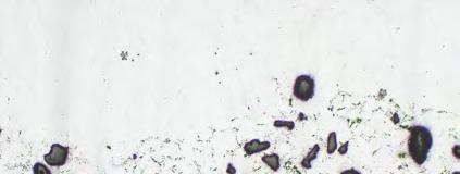 Makrostruktura przekroju wzdłuŝnego próbki kompozytu Mg2ZnZrRE-GCp przetopionej w temperaturze 690 C w czasie 30, A similar effect was found in the samples remelted at 730 C (Fig.