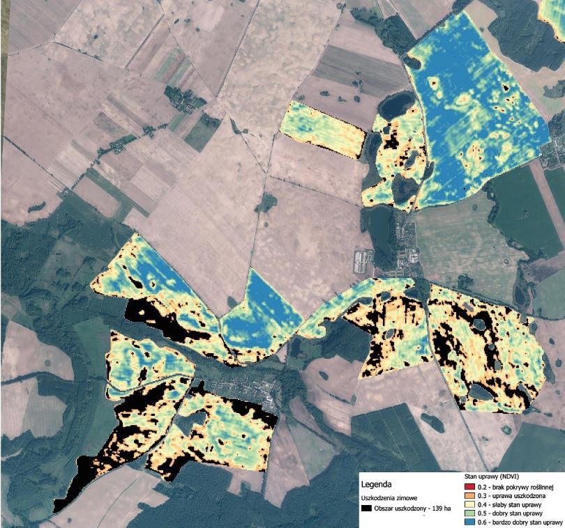 ROLNICTWO Zagadnienie: ocena stanu przezimowania upraw Metoda: automatyczne gromadzenie, przetwarzanie i analiza danych satelitarnych i meteorologicznych.