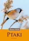 PTAKI seria: Fauna Polski autorka Dorota Zawadzka nowość Kompletny przegląd gatunków ptaków spotykanych w Polsce.