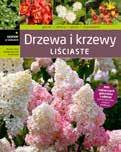 Młoźniak jest projektantką ogrodów, prowadzi popularny portal OGRODOWISKO, gdzie jest ceniona za niezwykle celne i praktyczne porady.