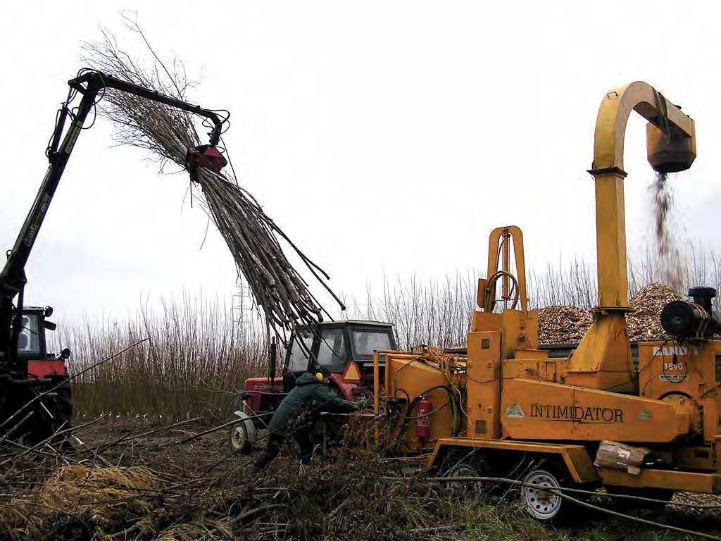 Two-stage woody biomass