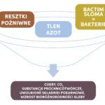 https://www. systemu korzeniowego. Szybsze dostarczenie składników i lepszy korzeń Przyspieszony rozkład resztek pożniwnych nie jest jedynym celem zastosowania Bactim Słoma.