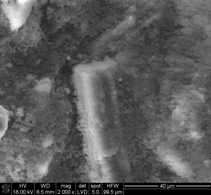 SEM images of the M-S-H phase: a) elongated particles probably brucite embedded in the M-S-H phase, b) elongated crystal coated with submicron particles of hydrated magnesium silicates. Tabela 2.