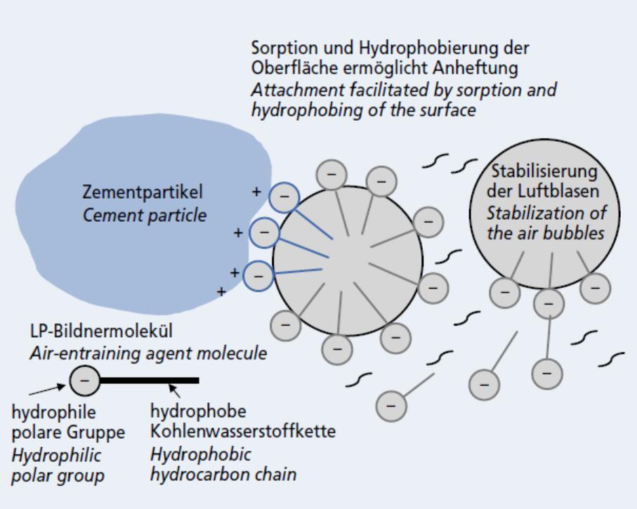 Działanie domieszki Domieszki napowietrzające są zbudowane z grup hydrofobowych (np.