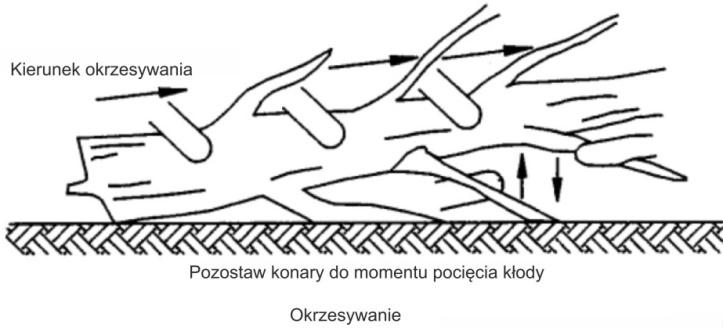 Kolejną czynnością jest wykonanie po stronie przeciwnej do kierunku obalania rzazu obalającego.