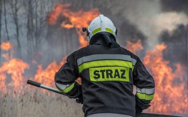 Otwarty Konkurs Ofert - Ratownictwo i ochrona ludności - I edycja Otwarty Konkurs Ofert na wsparcie realizacji zadań publicznych w 2019 r.