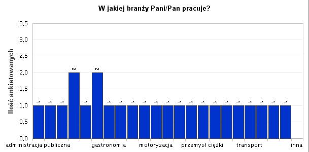 27. W jakiej branży Pani/Pan pracuje?