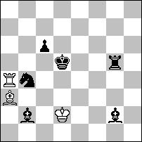 3 wyróżnienie honorowe nr 32 - Stefan PARZUCH Dwa antydualowe uwolnienia białej wieży z matami wzorowymi. 1.Wb5 Sb3 2.Sb7 Wd4# 1...Sc2 2.