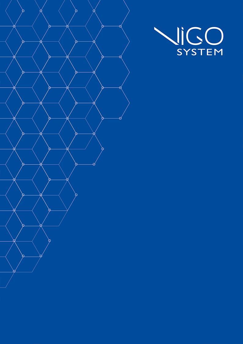 VIGO SYSTEM S.A. Śródroczne sprawozdanie finansowe za I kwartał 2019 r.