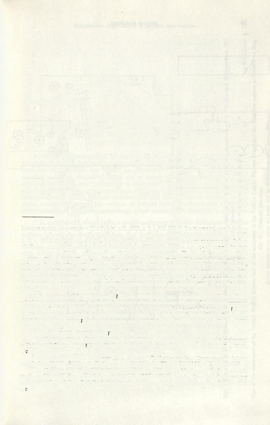 Sprawozdania Archeologiczne, t. XL, 1988 PL ISSN 0081-3834 ANDRZEJ KOKOWSKI POŁUDNIOWA CZĘŚĆ OSADY KULTURY PUCHARÓW LEJKOWATYCH NA STANOWISKU 1C W GRÓDKU NAD BUGIEM, WOJ.