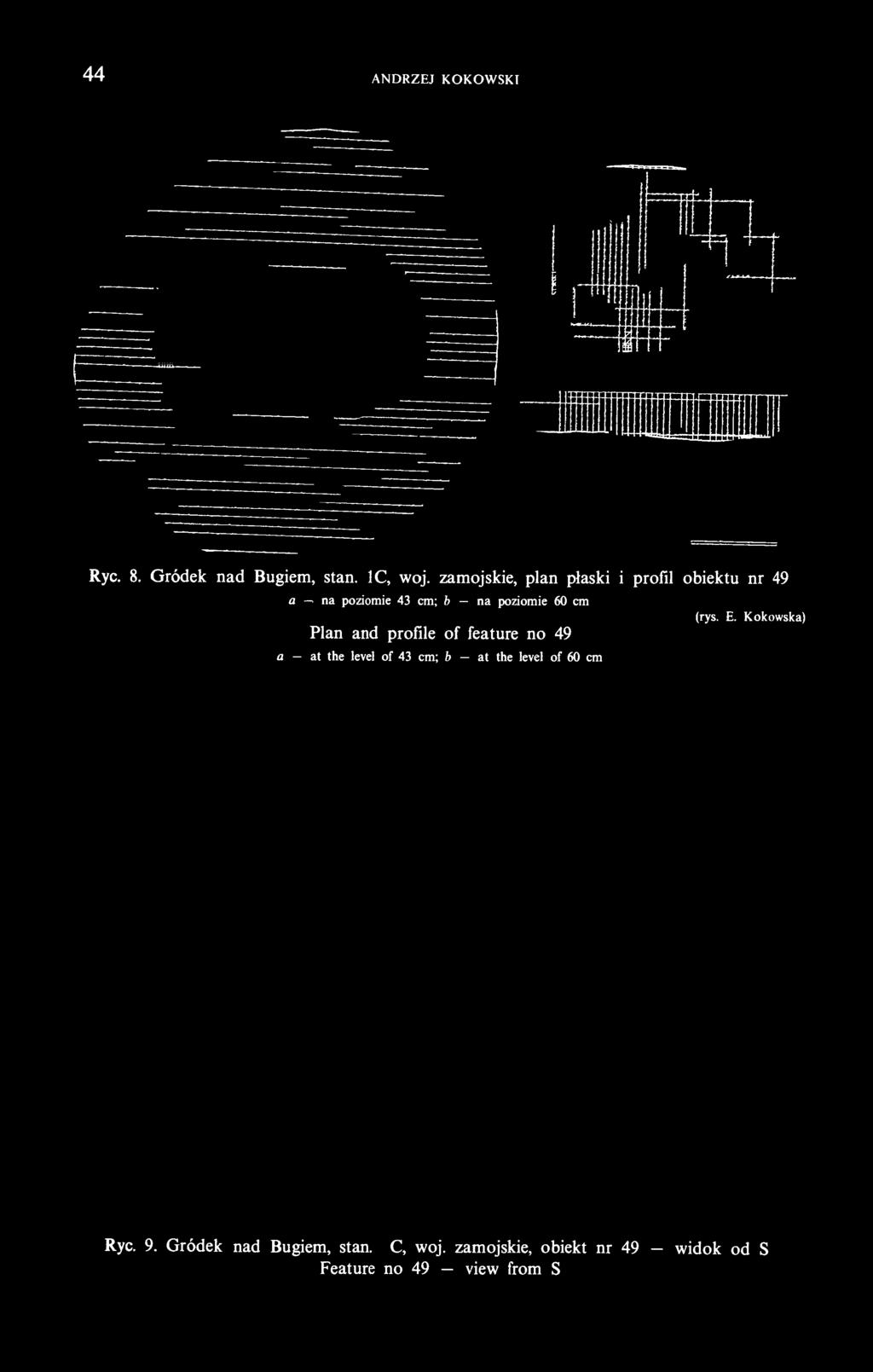 cm Plan and profile of feature no 49 a at the level of 43 cm; b at the level of 60