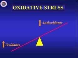 Wolne rodniki i reaktywne formy tlenu Definicja stresu oksydacyjnego -Stres oksydacyjny to zaburzenie homeostazy prowadzące do wzrostu stężeń reaktywnych form tlenu.