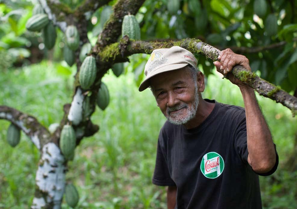 Zdjęcie: Sean Hawkey, 2017 certyfikat fairtrade Międzynarodowy znak