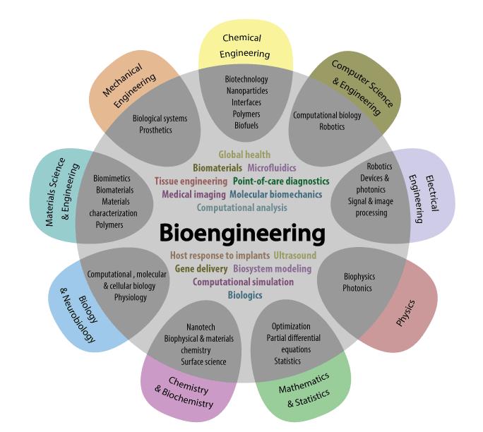 Inżynieria Biomedyczna Inżynieria biomedyczna nauka stanowiąca połączenie wiedzy zlokalizowane na pograniczu nauk technicznych, medycznych i biologicznych.
