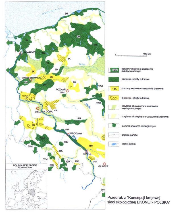 Rysunek 10. Wycinek mapy Krajowej Sieci Ekologicznej 5.8.3. Flora i fauna: Gmina Kąty Wrocławskie nie wyróżnia się bogatą szatą roślinną.