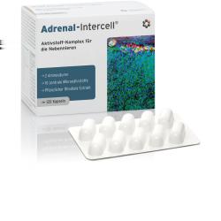 Dane aktualne na dzień: 15-06-2019 03:26 Link do produktu: https://www.intermarkt.pl/adrenal-intercell-120-kapsulek-l-tyrozyna-l-fenyloalanina-oraz-rhodiola-roseasuplement-diety-p-1365.