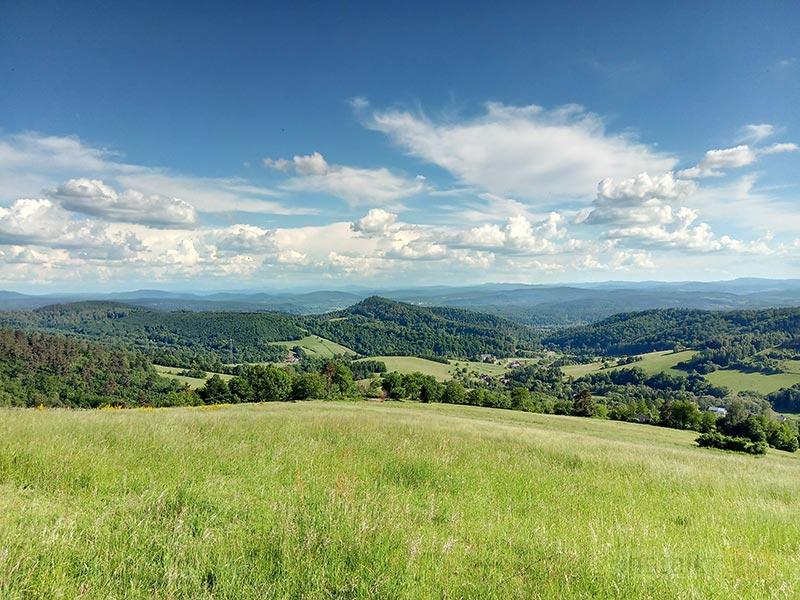 O wiele lepiej spisywał się system rozpoznawania twarzy, który jest po prostu skuteczniejszy, ale jednocześnie mniej bezpieczny.