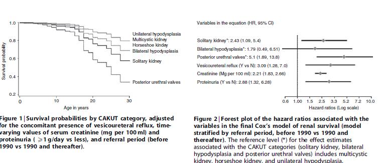 Kidney Int.,2009,76,538 321 dzieci z CAKUT; 6 kategorii (A. pojedyncza nerka,b.