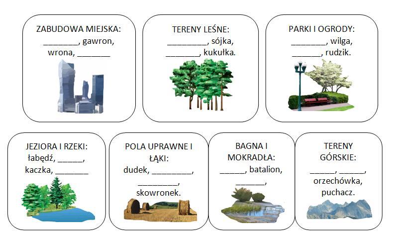 3. Uzupełnij puste miejsca nazwami ptaków zamieszkujących właściwe siedliska: zięba, mewa, wrona, kos, kulik, bogatka, bażant, czapla, orzeł, gołąb, kuropatwa, mazurek, kaczka, kukułka, batalion,