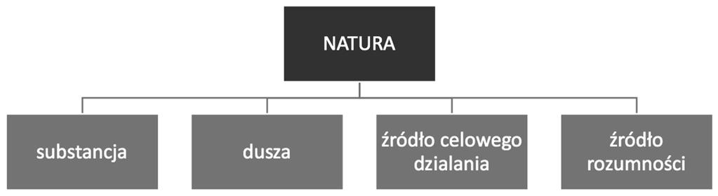 Problem pojęcia natury w pismach Tomasza z Akwinu kiem odpowiedzialne napisać, że przyroda i natura, to nazwy notorycznie niejednoznaczne, których sposób rozumienia jest określany kontekstowo 4.