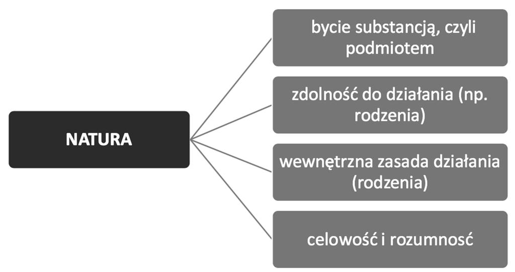 Artur Andrzejuk skiej, a zarazem określić φύσις zgodnie z greckim rozumieniem tego terminu.