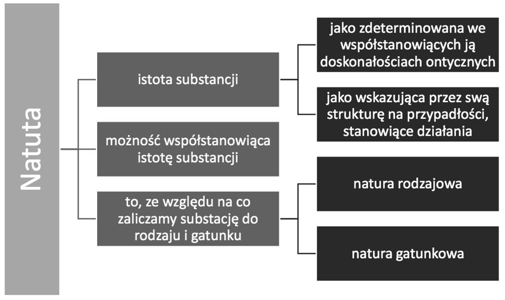 Artur Andrzejuk składającego i rozkładającego, mające jednak podstawę w samej rzeczy, będącej jednością tych, które orzeka się jedne o drugich. 42.