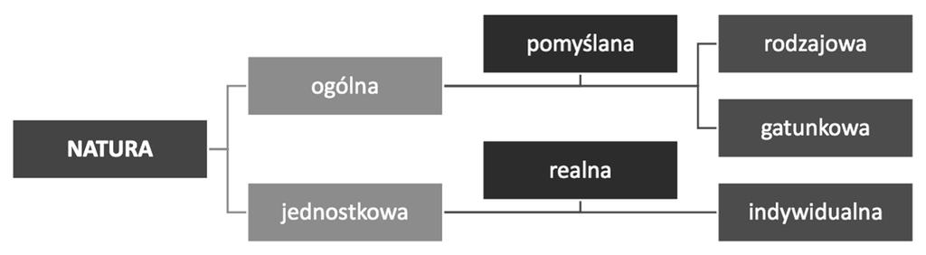 Problem pojęcia natury w pismach Tomasza z Akwinu nu natura używa Tomasz, gdy charakteryzuje ostatni etap kształtowania się ontycznego charakteru substancji przygodnej 21. 4.