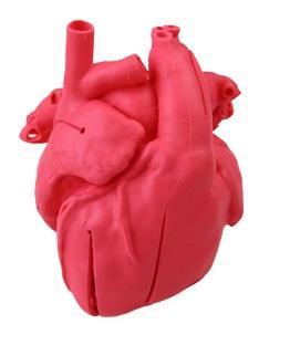 Pediatryczny model serca z transpozycją wielkich naczyń (cctga) oraz wadą wrodzoną typu VSD Nr ref: MA01497 Informacja o produkcie: