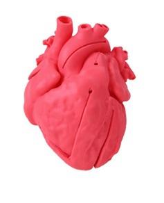 Pediatryczny model serca z ubytkiem przegrody międzykomorowej - VSD, Kardiosymulator Nr ref: MA00929 Informacja o produkcie: Pediatryczny model serca z ubytkiem przegrody