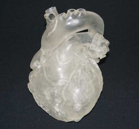 Profesjonalny model serca, transparentny Nr ref: MA01498 Informacja o produkcie: Profesjonalny model serca, transparentny 2-krotnie powiększony kardiosymulator dorosłego człowieka wykonany na bazie