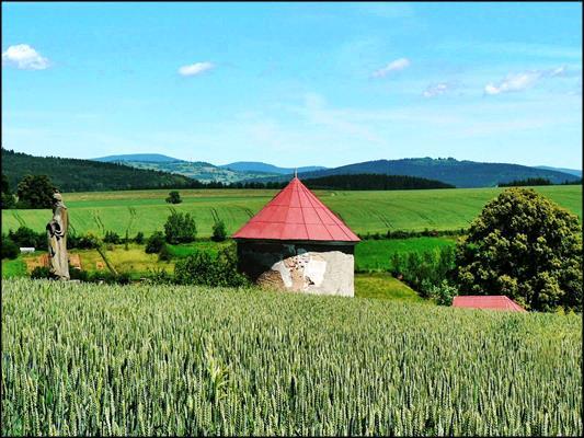 Zboże im przygotowałeś.