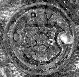dwudziestolecie XVI w., AAG, sygn. Inc. 241. Fot. R. Franczak. 4.