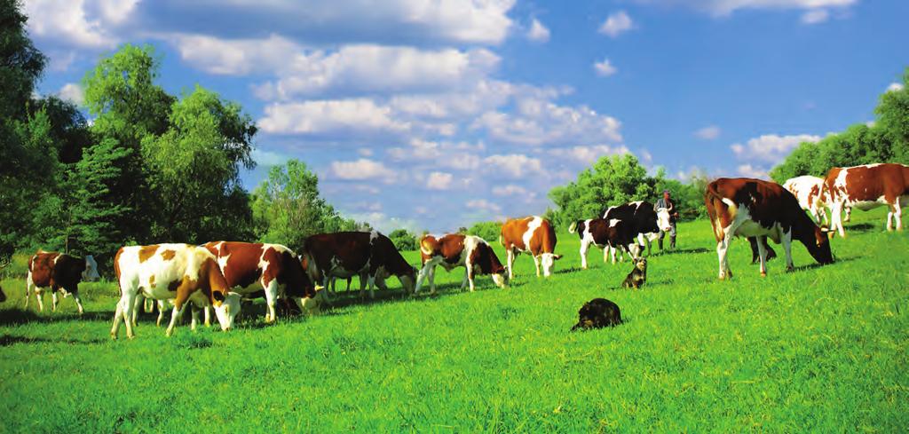 profilu produkcji, zwiększeniem skali produkcji, poprawą jakości produkcji lub zwiększeniem wartości dodanej produktu.