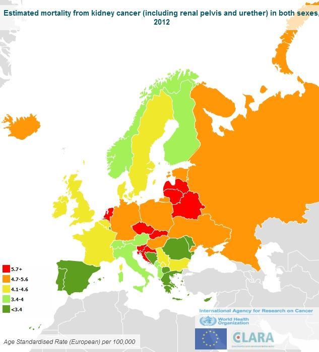 INCIDENCE MORTALITY