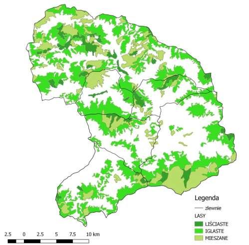 Forest distribution in the Raba river catchmnet, upstream from