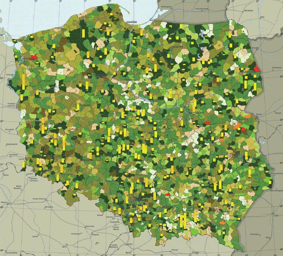 Studium Min. 250 zł (Pysznica, woj. podkarpackie Max.