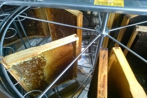 Zadanie 28. Który z wymienionych środków można zastosować do zwalczenia warrozy u pszczół w pasiece ekologicznej? Zadanie 29. Apistan. Beevital Bayvarol. Apiwarol.
